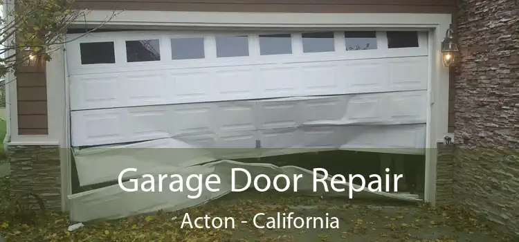 Garage Door Repair Acton - California