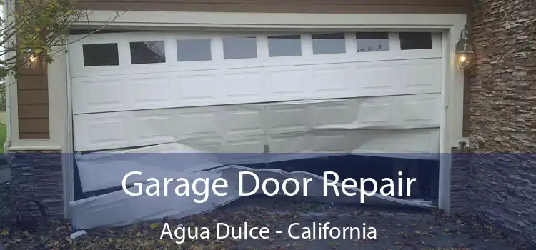 Garage Door Repair Agua Dulce - California