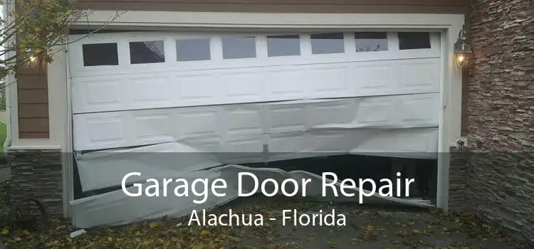 Garage Door Repair Alachua - Florida