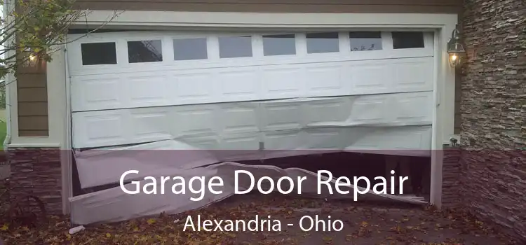 Garage Door Repair Alexandria - Ohio