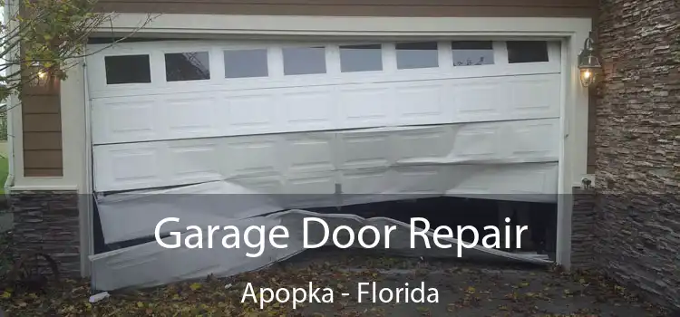 Garage Door Repair Apopka - Florida