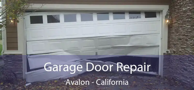 Garage Door Repair Avalon - California