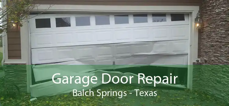Garage Door Repair Balch Springs - Texas
