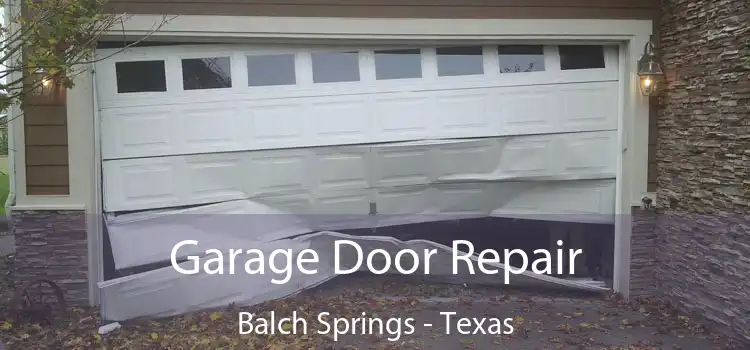 Garage Door Repair Balch Springs - Texas