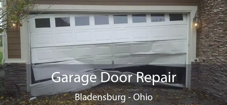 Garage Door Repair Bladensburg - Ohio