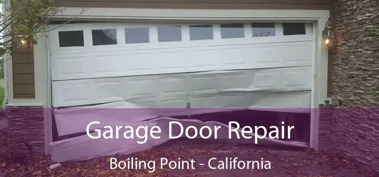 Garage Door Repair Boiling Point - California