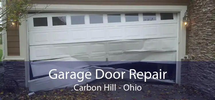 Garage Door Repair Carbon Hill - Ohio