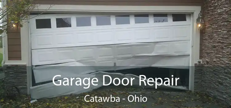 Garage Door Repair Catawba - Ohio