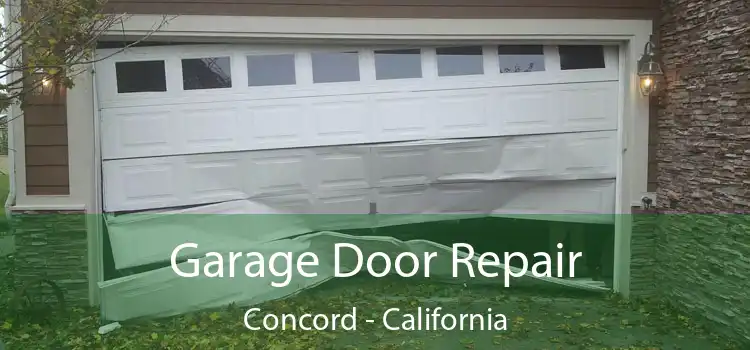 Garage Door Repair Concord - California