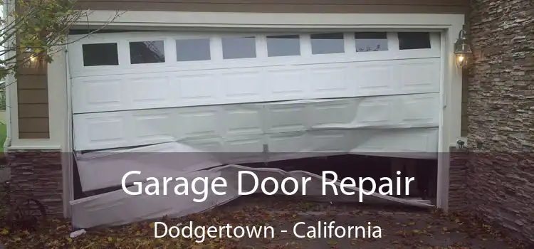 Garage Door Repair Dodgertown - California