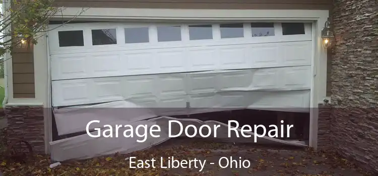 Garage Door Repair East Liberty - Ohio