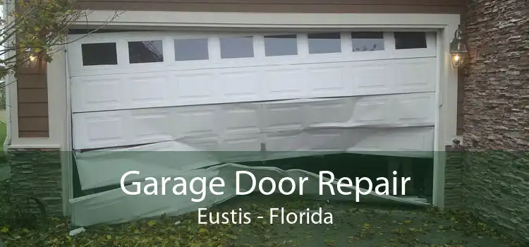 Garage Door Repair Eustis - Florida