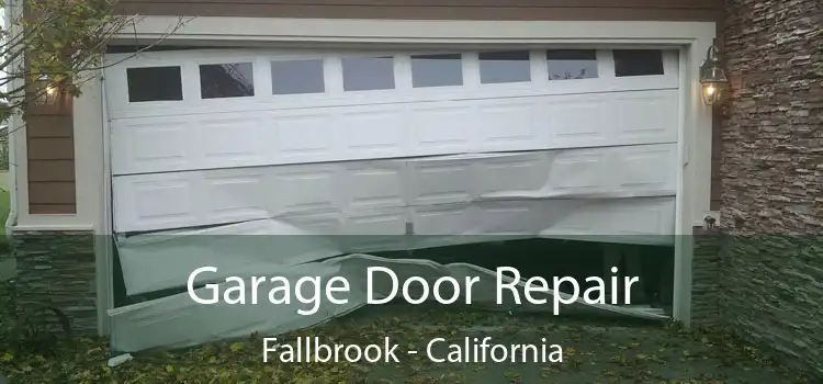 Garage Door Repair Fallbrook - California