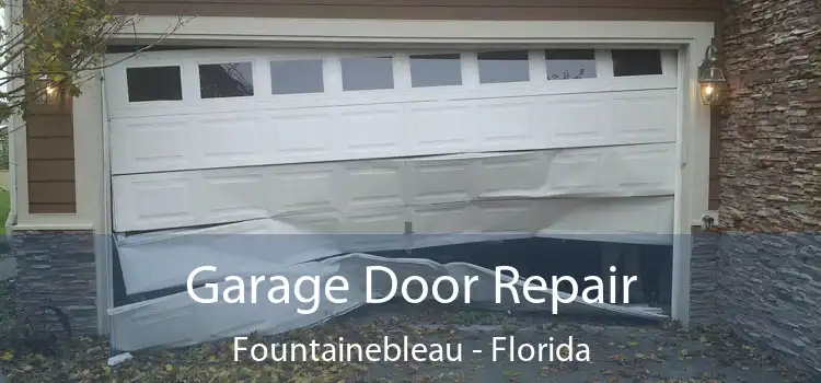 Garage Door Repair Fountainebleau - Florida