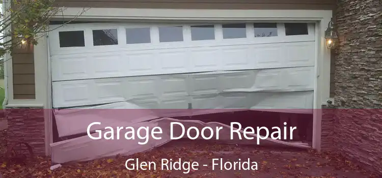 Garage Door Repair Glen Ridge - Florida