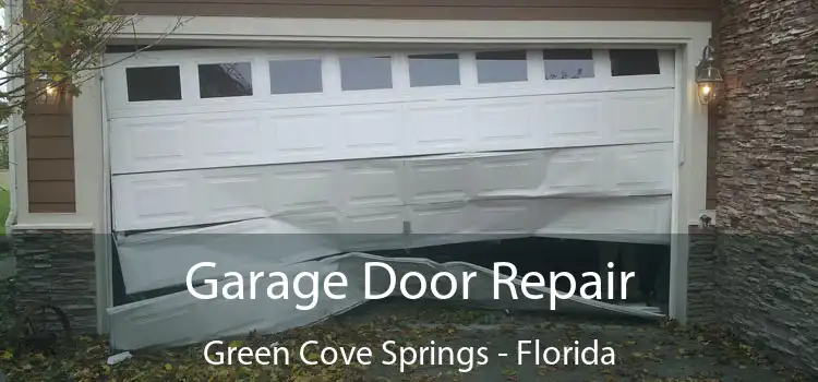 Garage Door Repair Green Cove Springs - Florida