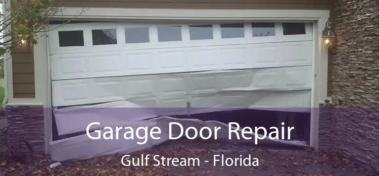 Garage Door Repair Gulf Stream - Florida