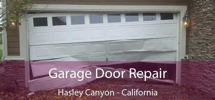 Garage Door Repair Hasley Canyon - California