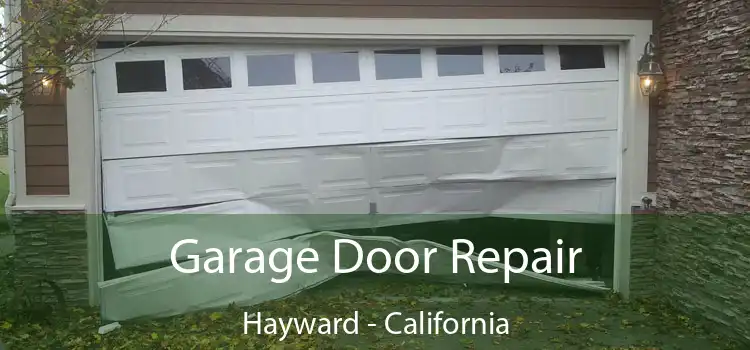 Garage Door Repair Hayward - California