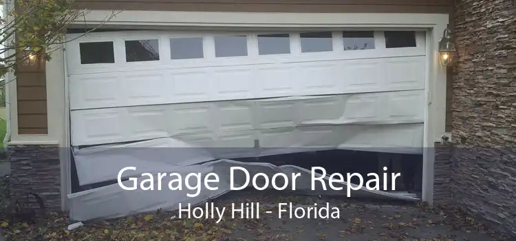 Garage Door Repair Holly Hill - Florida