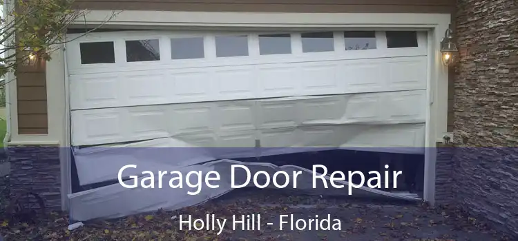 Garage Door Repair Holly Hill - Florida