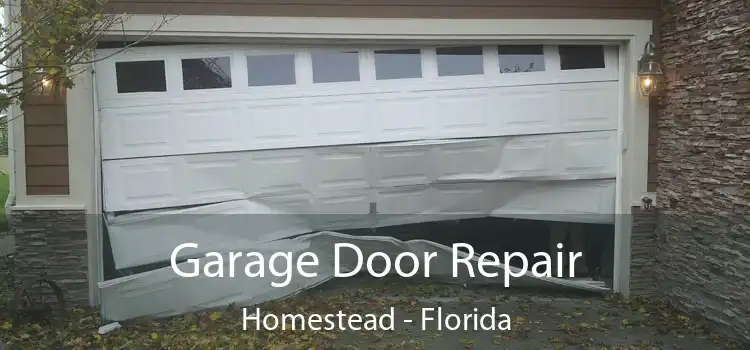 Garage Door Repair Homestead - Florida