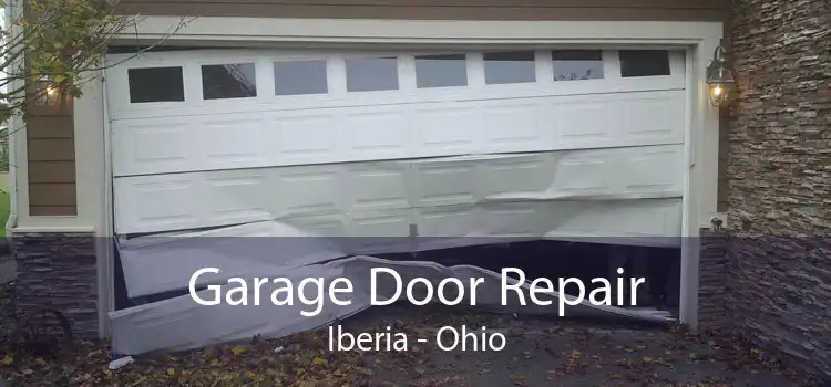 Garage Door Repair Iberia - Ohio