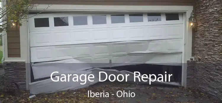 Garage Door Repair Iberia - Ohio