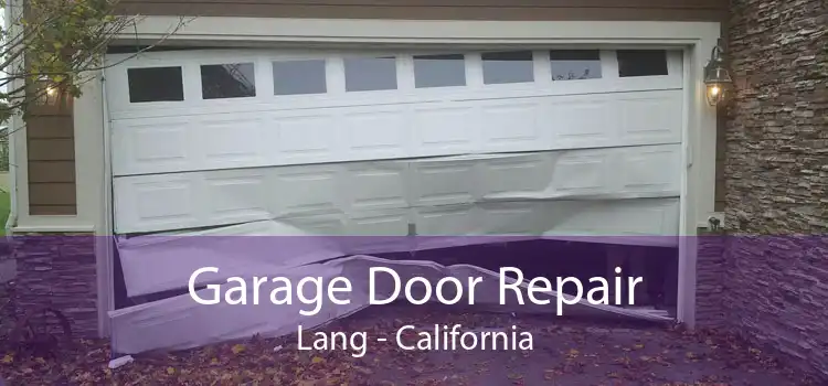 Garage Door Repair Lang - California