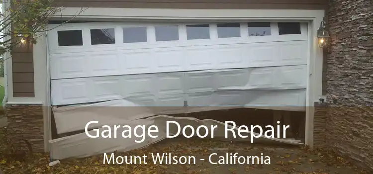 Garage Door Repair Mount Wilson - California