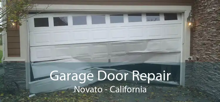 Garage Door Repair Novato - California
