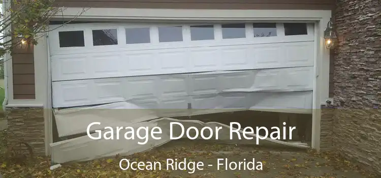 Garage Door Repair Ocean Ridge - Florida