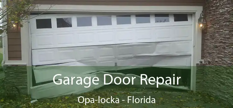 Garage Door Repair Opa-locka - Florida