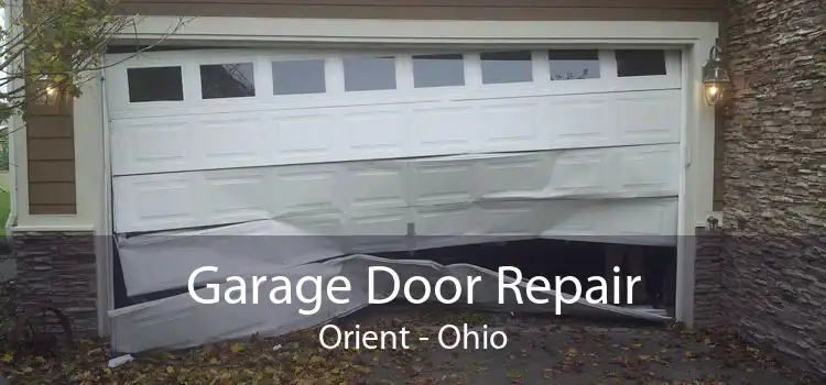 Garage Door Repair Orient - Ohio