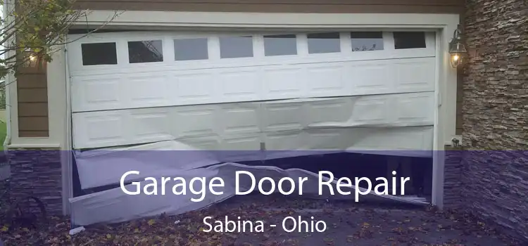 Garage Door Repair Sabina - Ohio