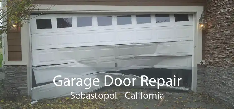 Garage Door Repair Sebastopol - California