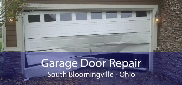 Garage Door Repair South Bloomingville - Ohio