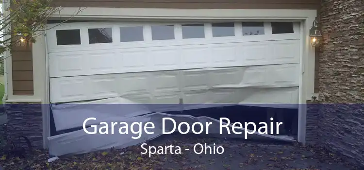 Garage Door Repair Sparta - Ohio