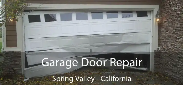 Garage Door Repair Spring Valley - California