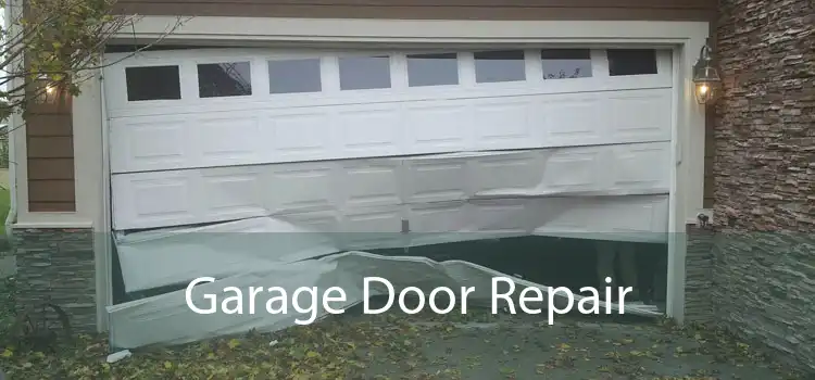 Garage Door Repair 