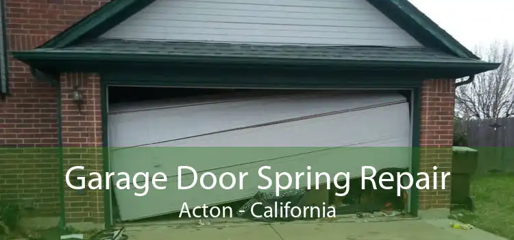 Garage Door Spring Repair Acton - California