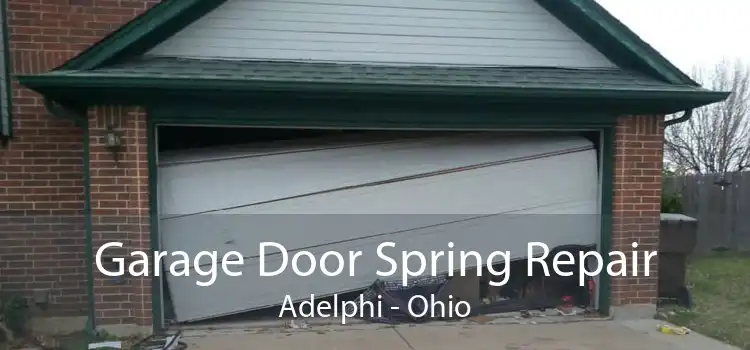 Garage Door Spring Repair Adelphi - Ohio