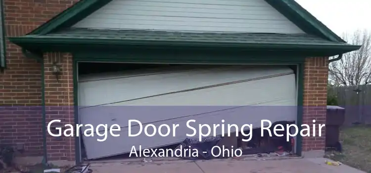 Garage Door Spring Repair Alexandria - Ohio