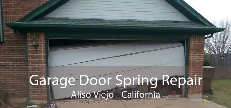 Garage Door Spring Repair Aliso Viejo - California