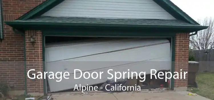 Garage Door Spring Repair Alpine - California