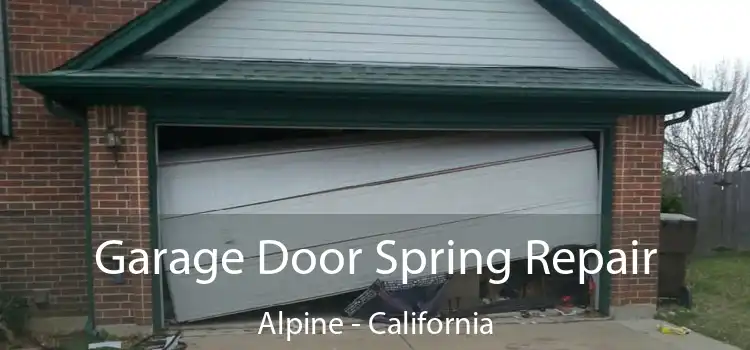 Garage Door Spring Repair Alpine - California