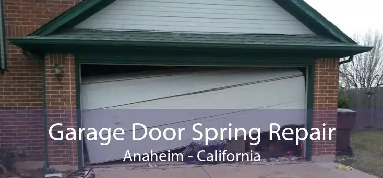 Garage Door Spring Repair Anaheim - California