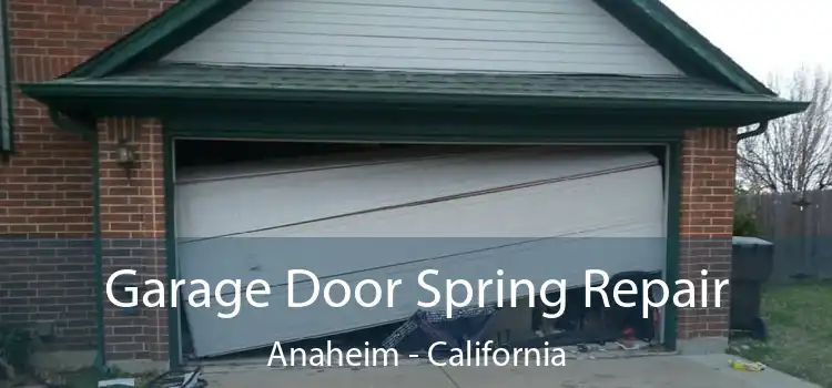 Garage Door Spring Repair Anaheim - California