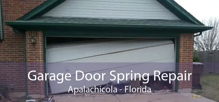 Garage Door Spring Repair Apalachicola - Florida