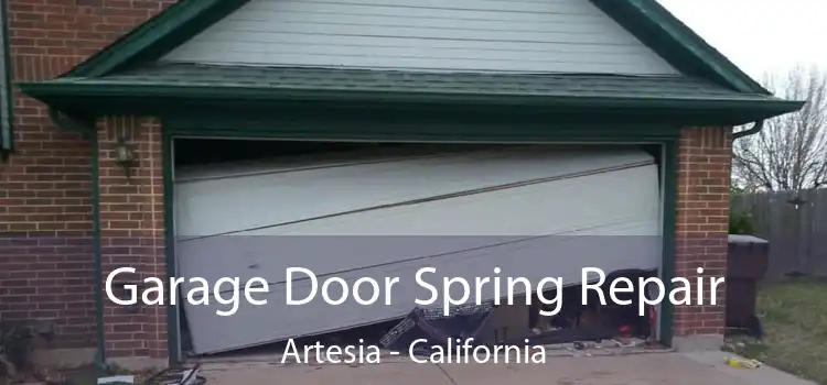 Garage Door Spring Repair Artesia - California